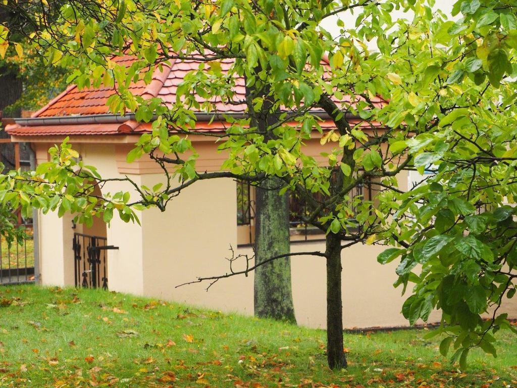 Apartments SMAG Obere Burgstraße Pirna Exterior foto